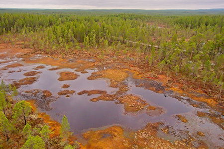 Aerial view of bog view at Ovre Pasvik National Park on a cloudy spring day, Norway.