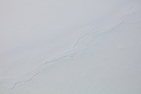 Closeup of snow surface for background.