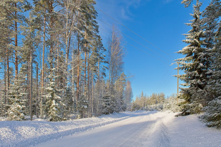 The snow has been plowed from the road in cold winter weather, Loppi, Finland.の写真素材