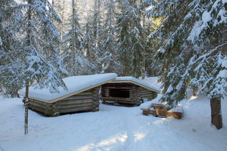 Traditional wooden leanto (laavu) shelter with fireplace in forest with snow on the ground in winter, RÃ¤yskÃ¤lÃ¤, Finland.の写真素材