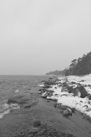Black and white rocky seashore landscape in cloudy winter weather with snow on the ground, KopparnÃ¤s, Finland.の写真素材