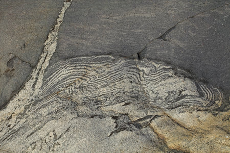 Closeup of seamless rock texture with cracks for backgrounds, ViikinmÃ¤ki, Helsinki, Finland.