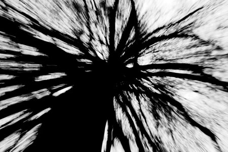 ICM Intentional camera movement with long exposure of leafless tree silhouette taken from below with...