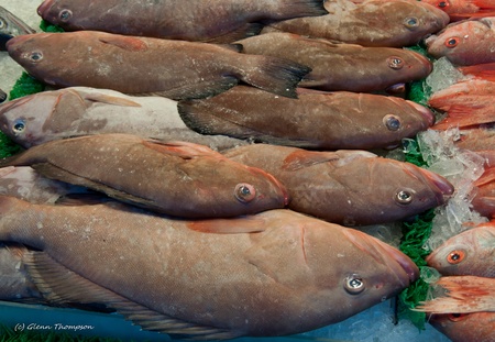  Flesh fish at the Maine Ave Fish Market. Washington DC