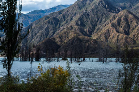 Majestic Potrerillos mountain in the lake with many dry trees.の写真素材