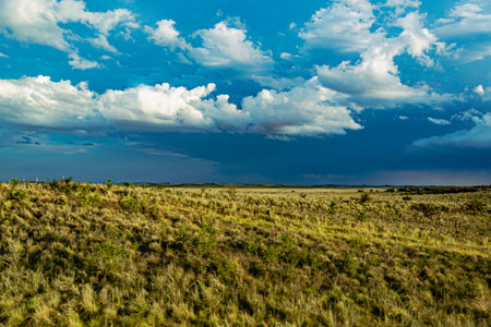 Beautiful landscape of steppe under blue sky with white clouds.の写真素材