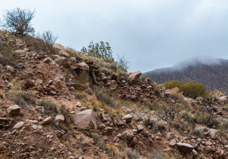 Rocky hills of the Mojave Desert in California, USA.の写真素材
