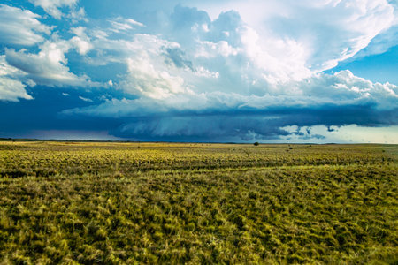 Storm clouds over the field. Photo taken in Masai Mara, Kenyaの写真素材