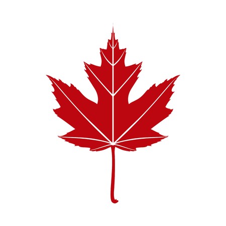Maple leaf logo vectorのイラスト素材