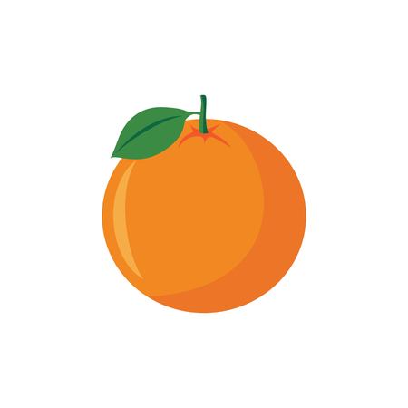 Orange fruit vector illustration isolated on white backgroundのイラスト素材