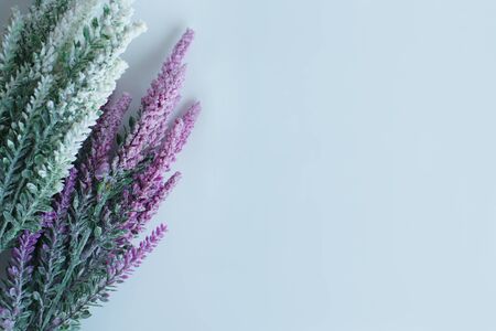 Background photo with white background.の写真素材