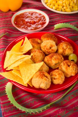 Mexican foodの写真素材