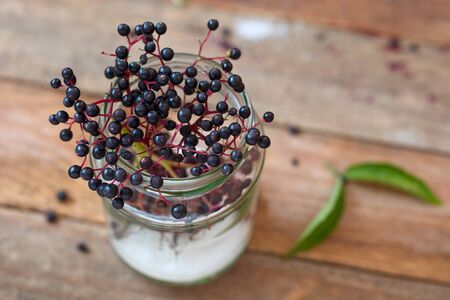 Elder berry  with sugar
