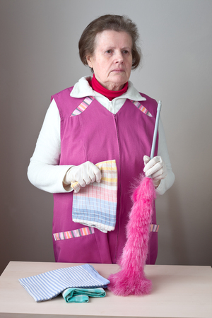 Cleaning housewife