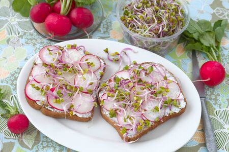 Radish sandwiches with sproutsの写真素材