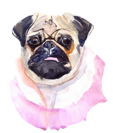 Dog of pug breed. Art portrait watercolor. It can be used for sticker, phone case, poster, t-shirt, mug, greeting card design and other design. Hand painted illustration of pets. Clip art.の写真素材