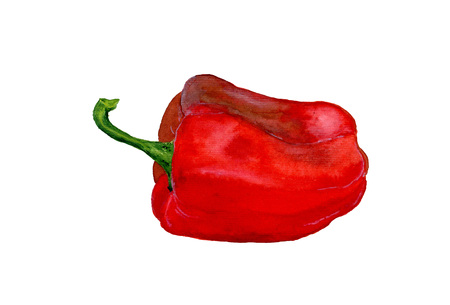 Red pepper. Watercolor paprika on white background. Isolated vegetableの写真素材