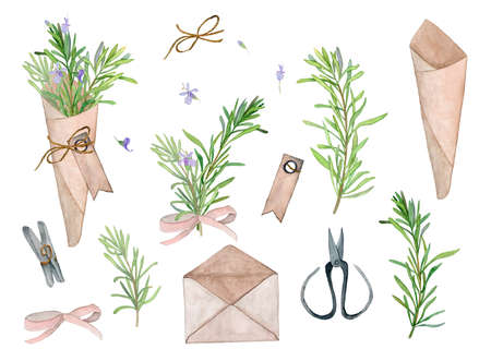 Watercolor set: branches, rosemary flowers, rusticの写真素材