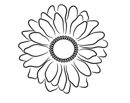 Black and White Daisy Outlineのイラスト素材