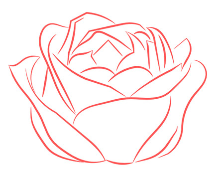 Pink Rose Half Open Outlineのイラスト素材