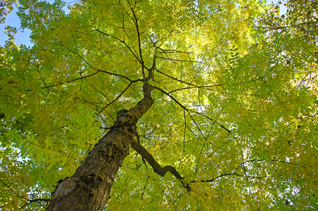 under green tree in summer spring season landscapeの写真素材