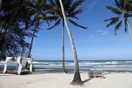 coconut and crib on the beach blue sky in summerの写真素材