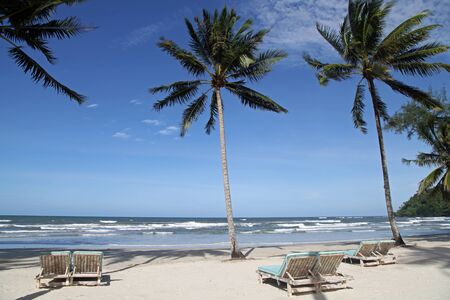 coconut and crib on the beach blue sky in summerの写真素材
