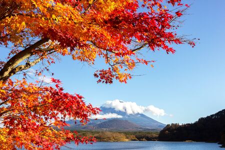 Scenic Fuji Mountain. Autumn leaves, Travel Japan.の写真素材