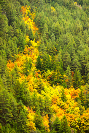 Jiuzhaigou National Park. Sichuan Province beautiful scenic Lake Travel, China.の写真素材