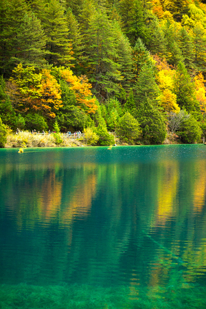 Jiuzhaigou National Park. Sichuan Province beautiful scenic Lake Travel, China.の写真素材
