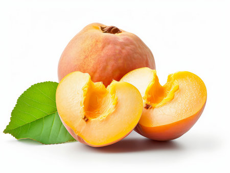 ripe apricots isolated on white backgroundの素材