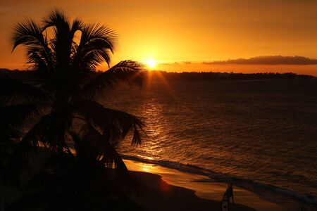 Golden Sunsetの写真素材