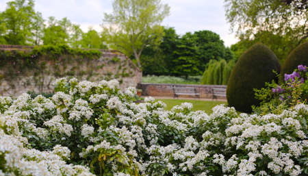 Clare Gardenの写真素材