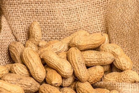 peanutsの写真素材