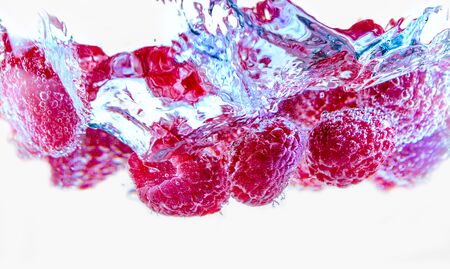 Fresh raspberries swimming in waterの写真素材