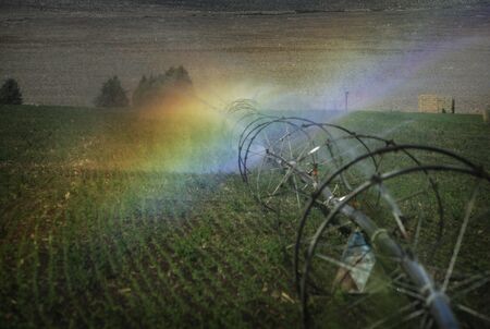 irrigation system for an agricultural fieldの写真素材