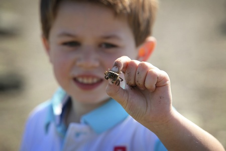 young boy with a small crab in his fingersの写真素材