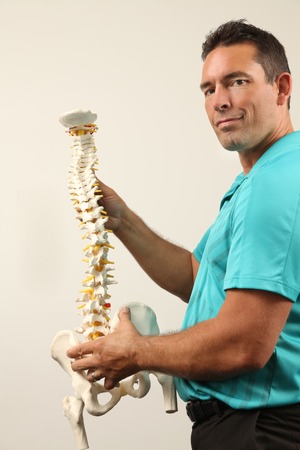 A Chiropractor showing a model of the human spine