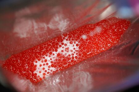 close-up of salmon eggs getting mixed with miltの写真素材