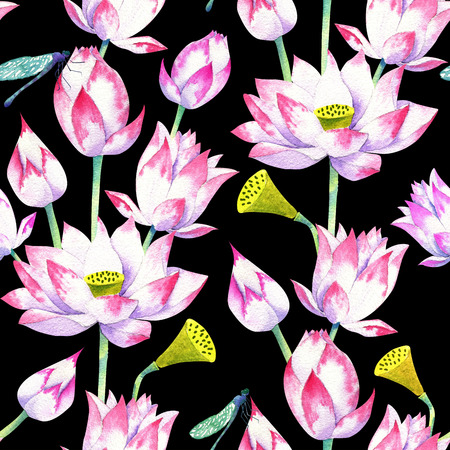 blossoms and flowers of lotus watercolor seamless patternの写真素材