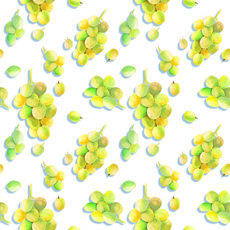 Watercolor seamless pattern with hand drawn fresh juicy fruitsの写真素材