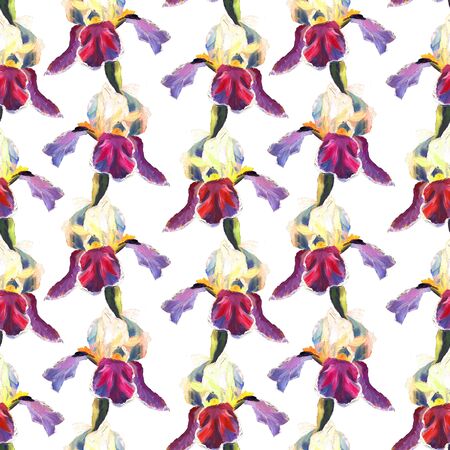 Floral seamless pattern with oil painted irises on white backgroundの写真素材