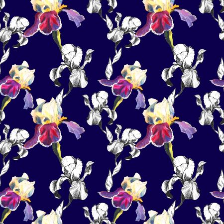 Floral seamless pattern with hand drawn ink iris flowers on blue background. Flowers lined up in harmonious uninhibited sequenceの写真素材