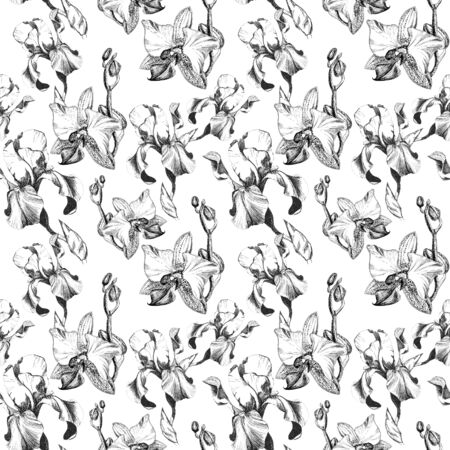 Floral seamless pattern with hand drawn ink iris and orchid flowers on white background. Flowers lined up in harmonious uninhibited sequenceの写真素材
