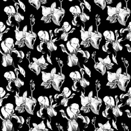 Floral seamless pattern with hand drawn ink iris and orchid flowers on black background. Flowers lined up in harmonious uninhibited sequenceの写真素材