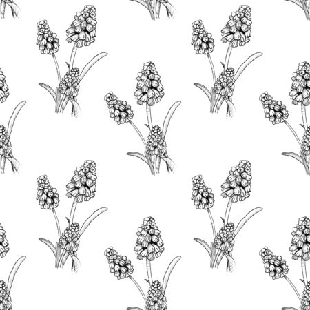 Seamless pattern with realistically painted ink Muscari flowers. Hand drawn illustration on white background modified to digital source for modern disign, print textile, fabric, wrapping paperの写真素材