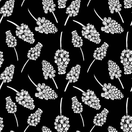 Seamless pattern with realistically painted ink Muscari flowers. Hand drawn illustration on black background modified to digital source for modern disign, print textile, fabric, wrapping paperの写真素材