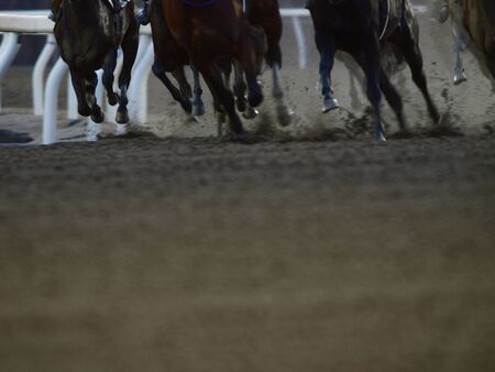 Horses kick up dirt?の写真素材