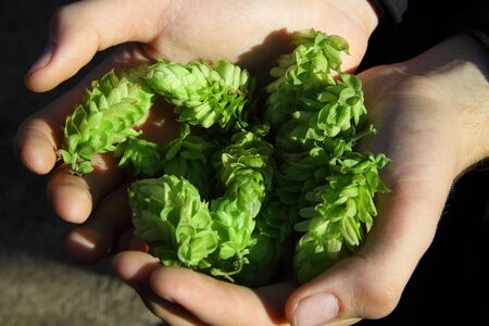 Hop in the handsの写真素材