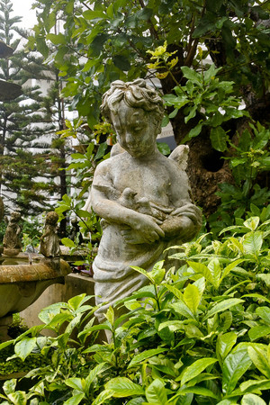 Angel sculpture hold bird's nest in her hand. Green background and garden, freshy rainy season.の写真素材